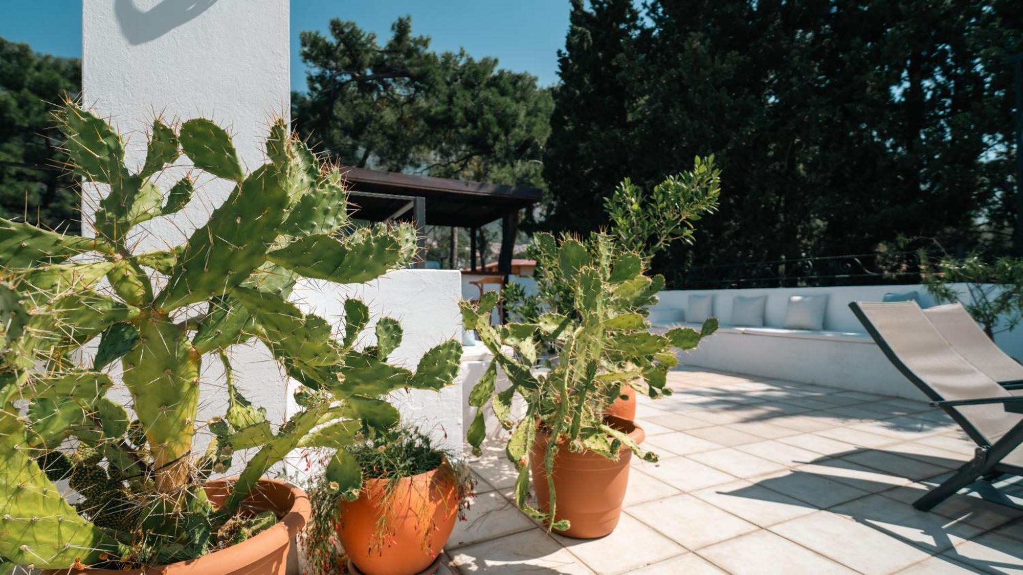 Totelya Hotel Akyaka  Exteriér fotografie