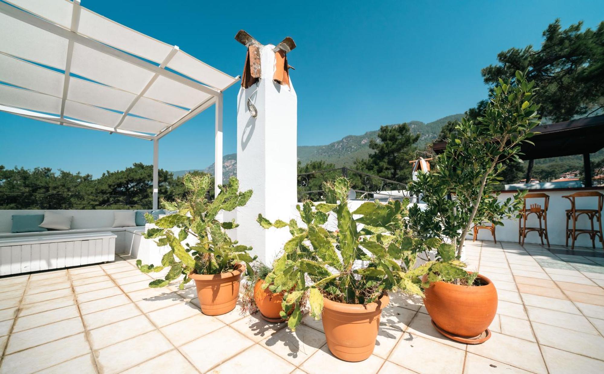 Totelya Hotel Akyaka  Exteriér fotografie