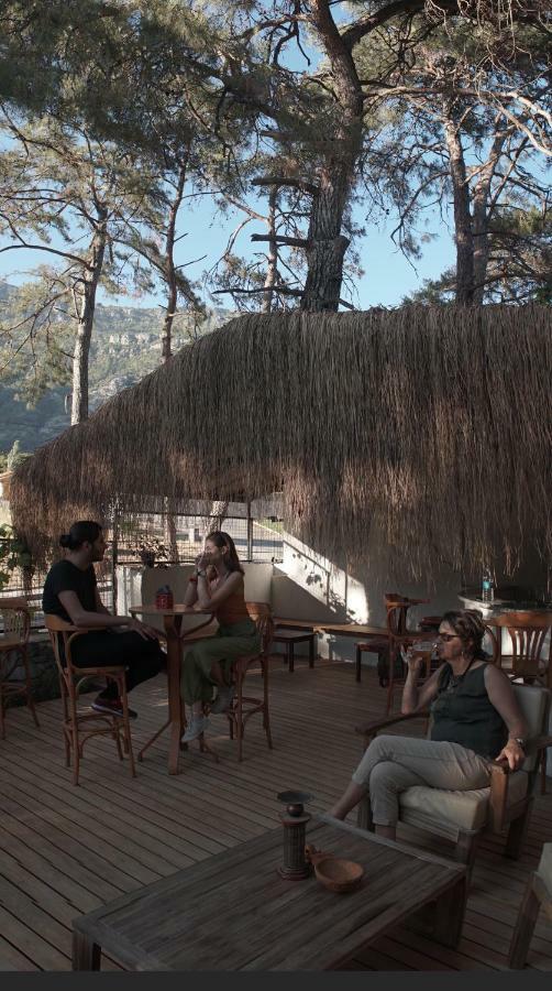 Totelya Hotel Akyaka  Exteriér fotografie